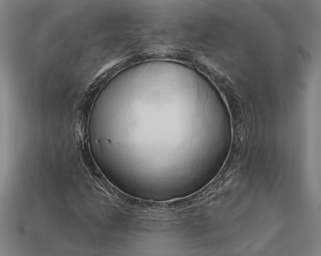 X0000113131206200909181702