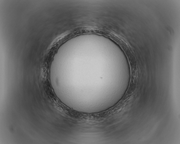 X0000113131207200909181702