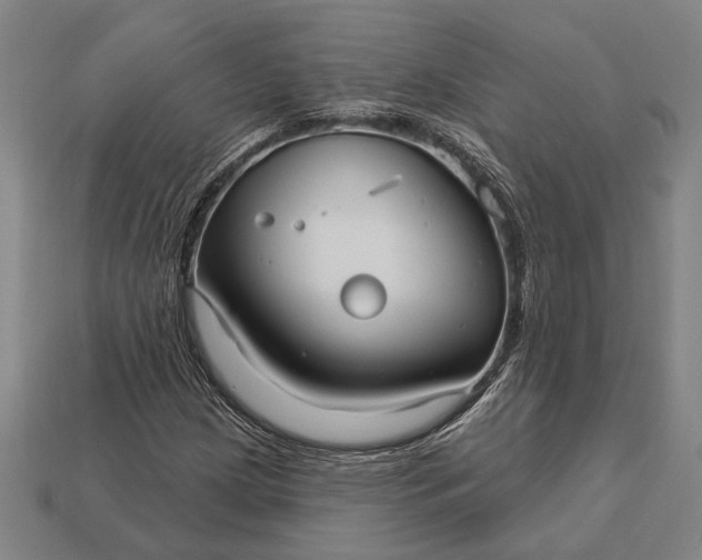 X0000113131209200909181702