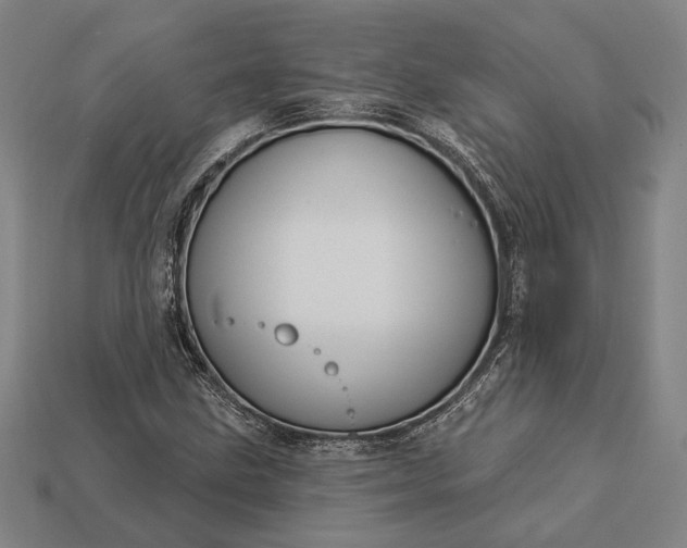 X0000113131211200909181702