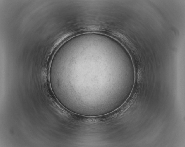 X0000113131212200909181702