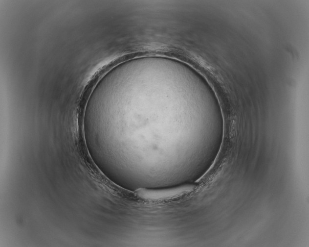 X0000113131214200909181702