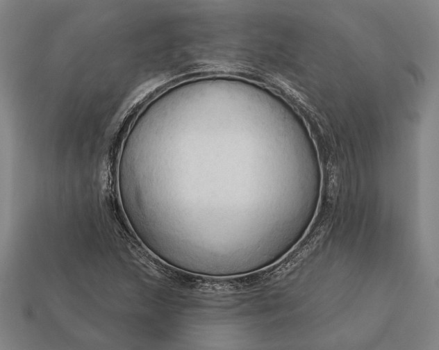 X0000113131215200909181702