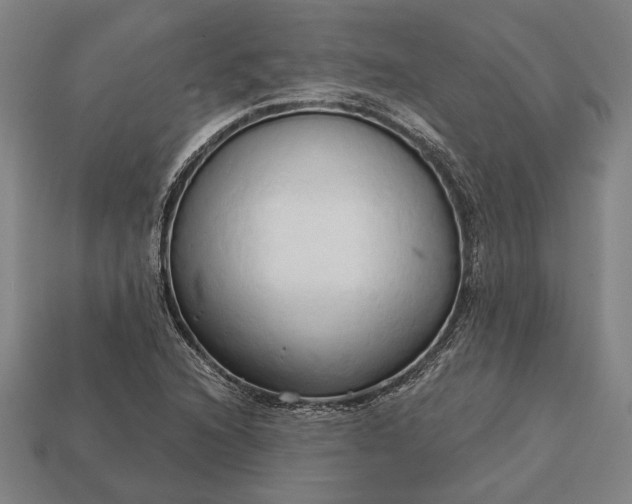 X0000113131216200909181702