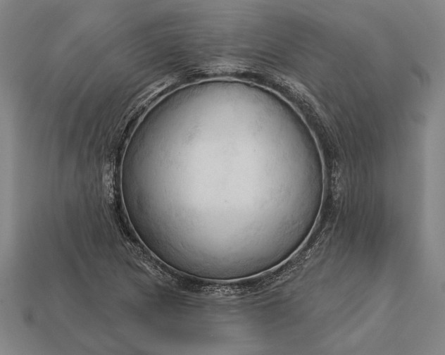 X0000113131217200909181702