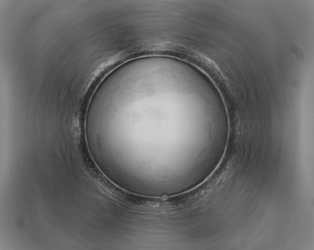 X0000113131218200909181703