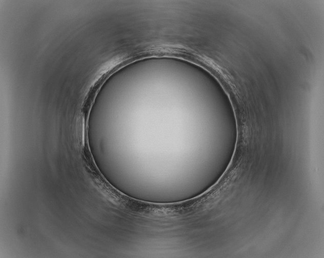 X0000113131219200909181703