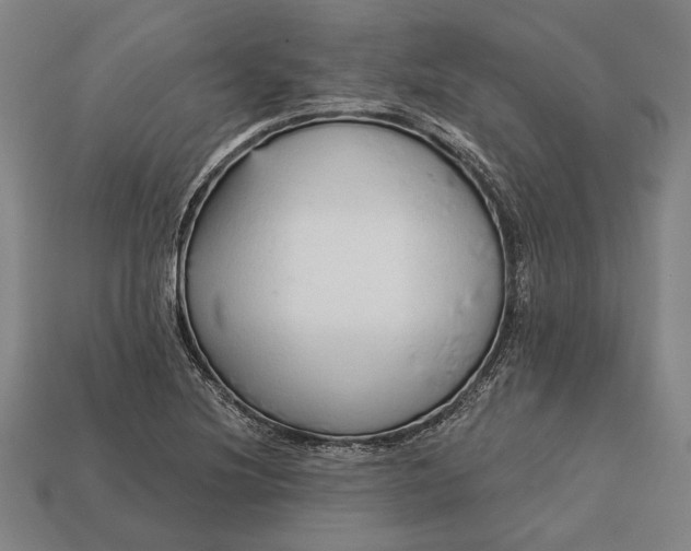 X0000113131220200909181703