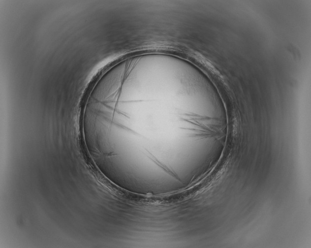 X0000113131222200909181703