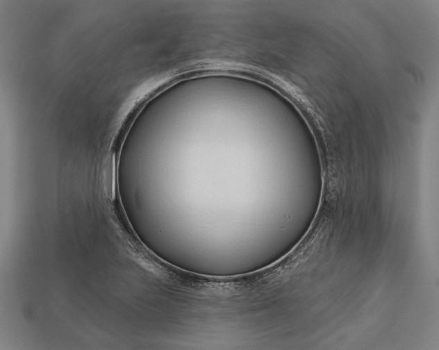 X0000113131223200909181703