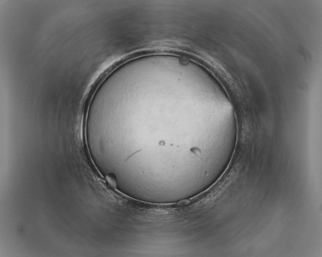 X0000113131224200909181703