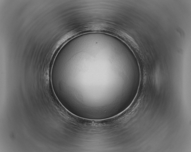 X0000113131226200909181703