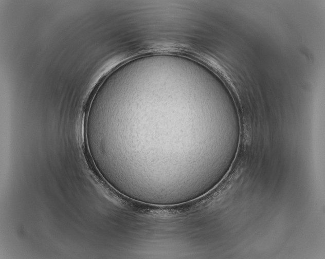 X0000113131227200909181703