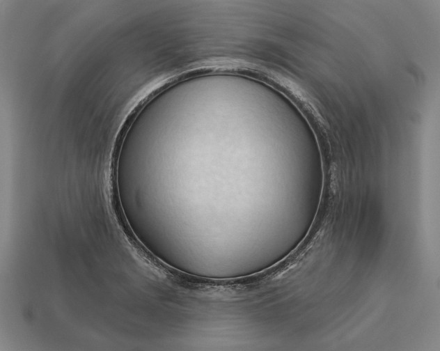 X0000113131229200909181703