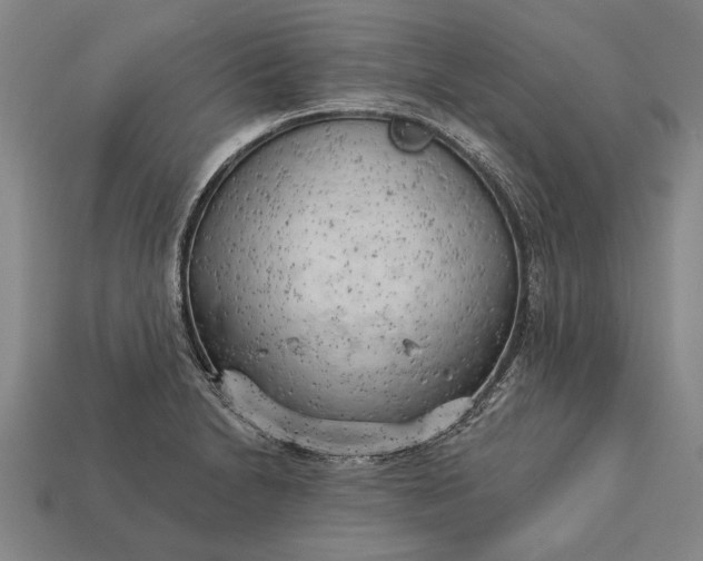 X0000113131230200909181703