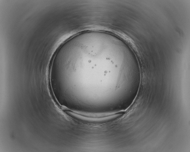 X0000113131231200909181703