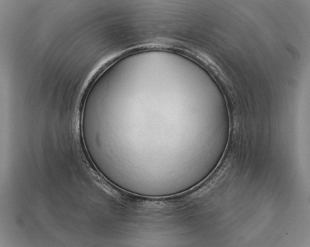 X0000113131232200909181703