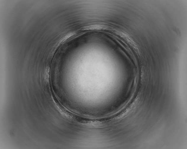 X0000113131233200909181703