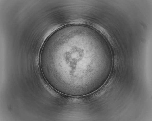 X0000113131234200909181703