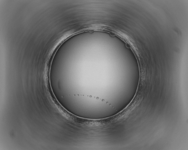 X0000113131235200909181703