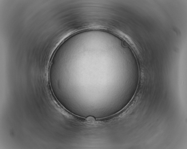 X0000113131236200909181703