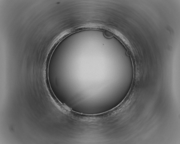 X0000113131237200909181703