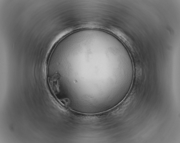 X0000113131238200909181703