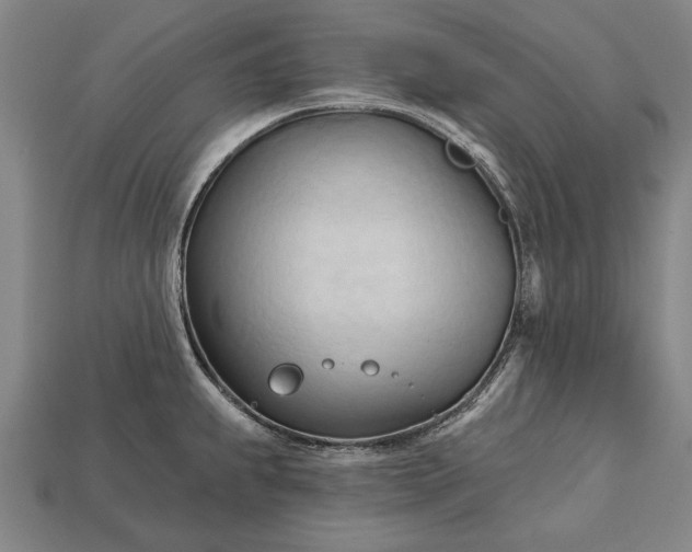 X0000113131239200909181703