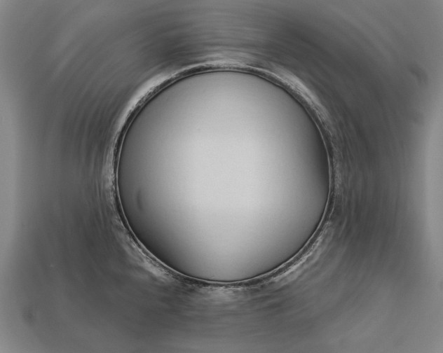 X0000113131240200909181703