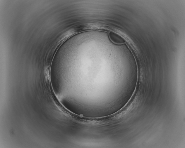 X0000113131241200909181703