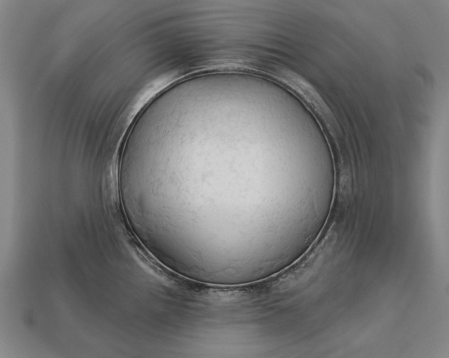 X0000113131242200909181703