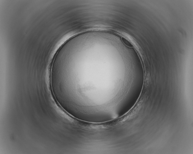 X0000113131243200909181703