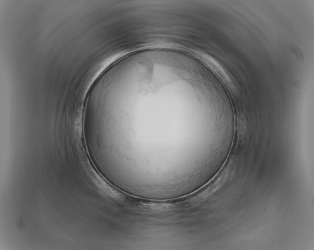 X0000113131244200909181703