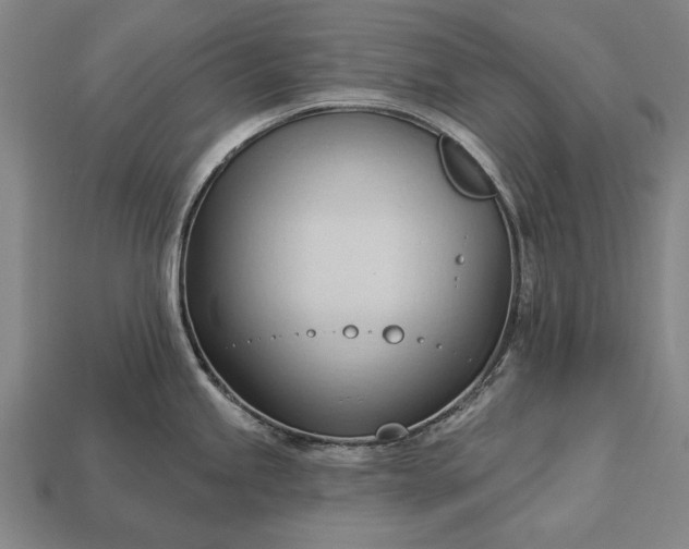 X0000113131245200909181703