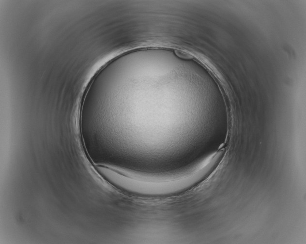 X0000113131246200909181703