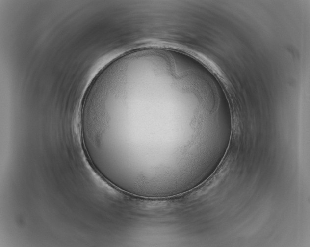 X0000113131247200909181703