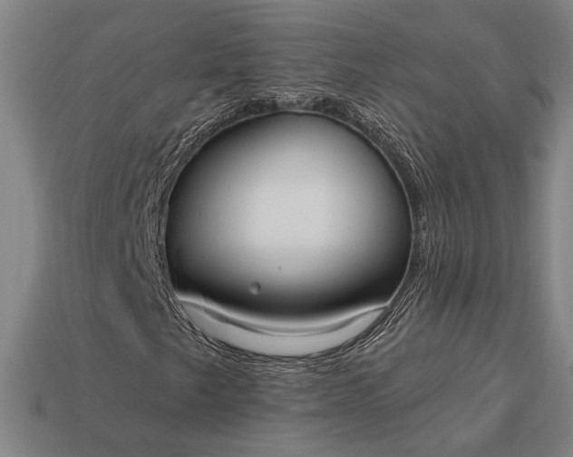 X0000113131249200909181702