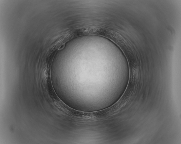 X0000113131250200909181702