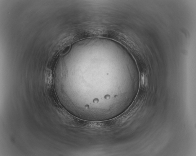 X0000113131251200909181702