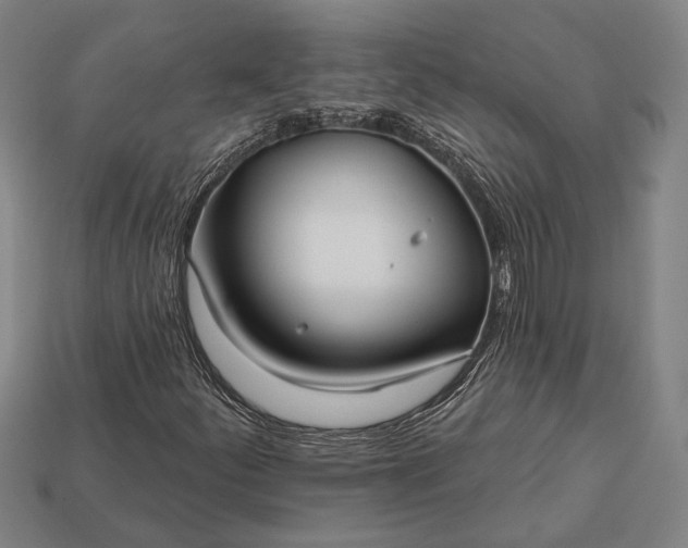 X0000113131252200909181702