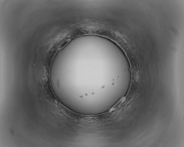 X0000113131253200909181702