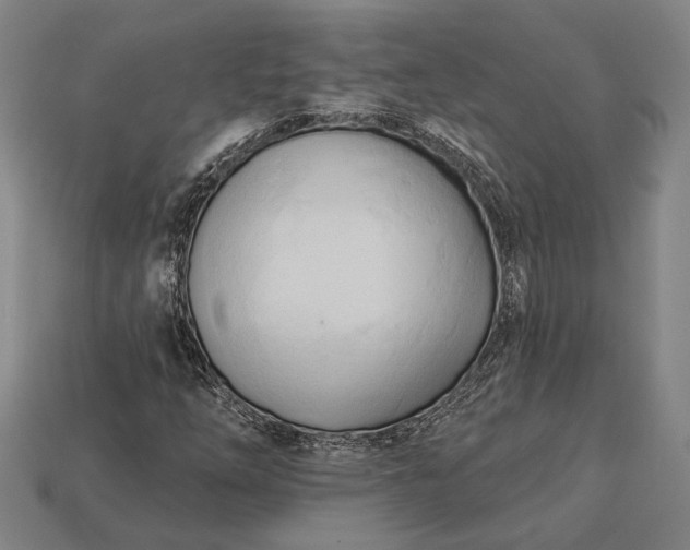 X0000113131254200909181702