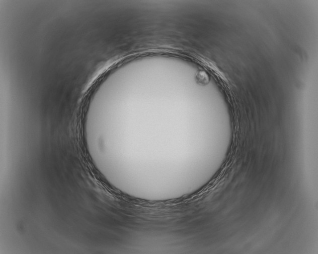 X0000113131256200909181702