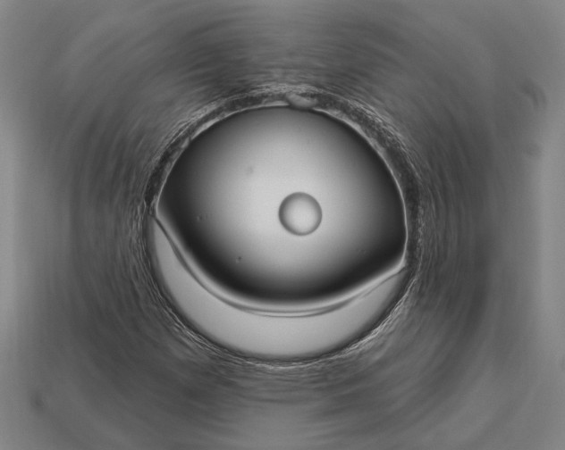 X0000113131257200909181702