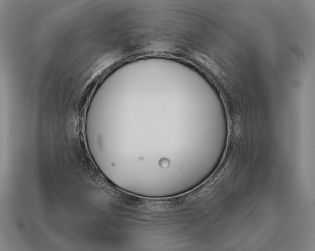 X0000113131258200909181702