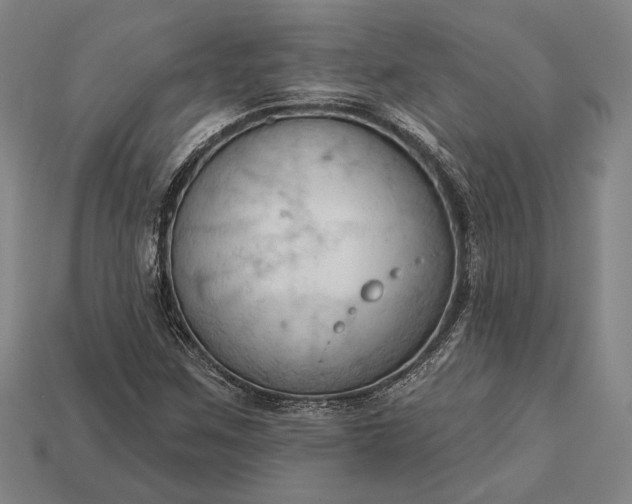 X0000113131259200909181702