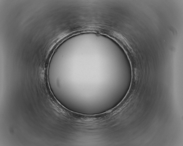 X0000113131260200909181702