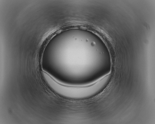 X0000113131261200909181702