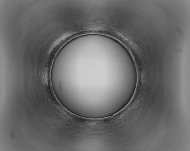 X0000113131262200909181702