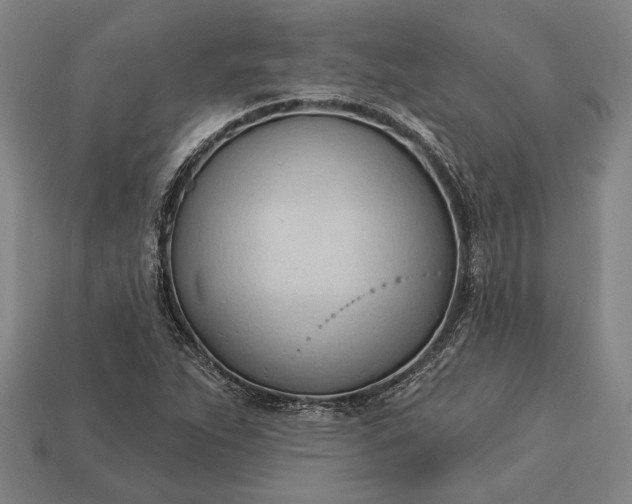 X0000113131263200909181702